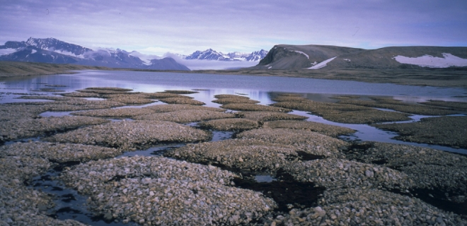 Qué es el permafrost y por qué disminuye con el cambio climático